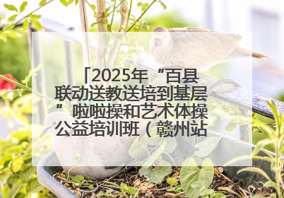 2025年“百县联动送教送培到基层”啦啦操和艺术体操公益培训班（赣州站）圆满结业
