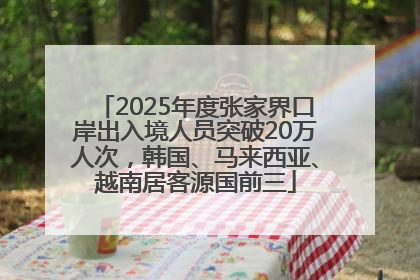 2025年度张家界口岸出入境人员突破20万人次，韩国、马来西亚、越南居客源国前三