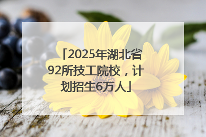 2025年湖北省92所技工院校，计划招生6万人