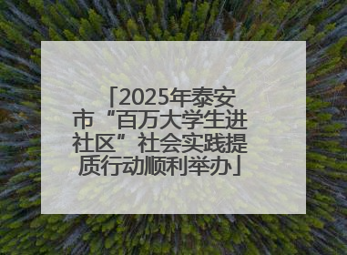 2025年泰安市“百万大学生进社区”社会实践提质行动顺利举办
