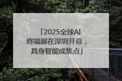 2025全球AI终端展在深圳开幕，具身智能成焦点