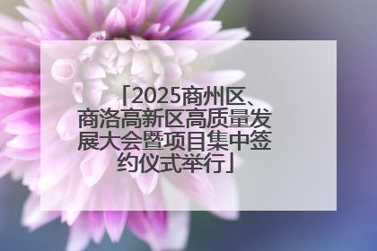 2025商州区、商洛高新区高质量发展大会暨项目集中签约仪式举行