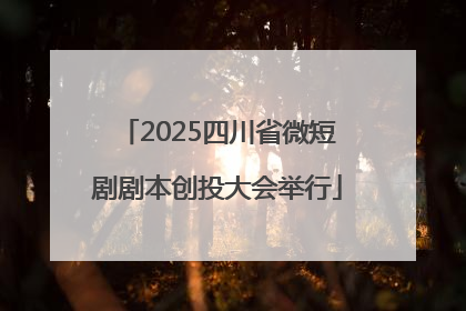 2025四川省微短剧剧本创投大会举行