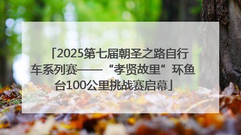2025第七届朝圣之路自行车系列赛——“孝贤故里”环鱼台100公里挑战赛启幕