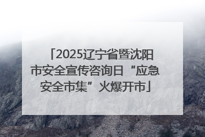 2025辽宁省暨沈阳市安全宣传咨询日“应急安全市集”火爆开市