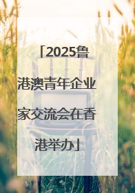 2025鲁港澳青年企业家交流会在香港举办