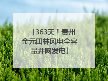 363天！贵州金元田林风电全容量并网发电