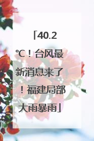 40.2℃！台风最新消息来了！福建局部大雨暴雨