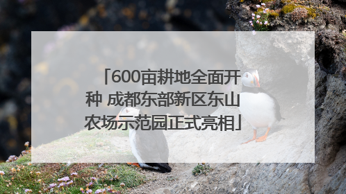 600亩耕地全面开种 成都东部新区东山农场示范园正式亮相