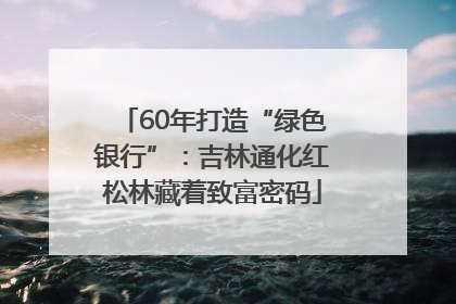 60年打造“绿色银行”：吉林通化红松林藏着致富密码