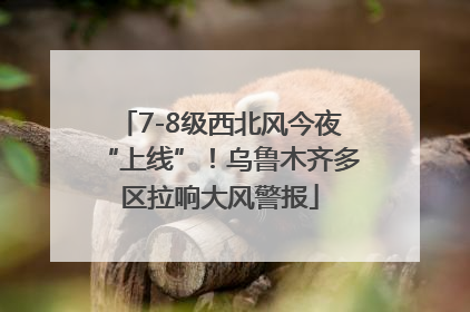 7-8级西北风今夜“上线”！乌鲁木齐多区拉响大风警报