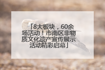 8大板块，60余场活动！市南区非物质文化遗产宣传展示活动精彩启幕