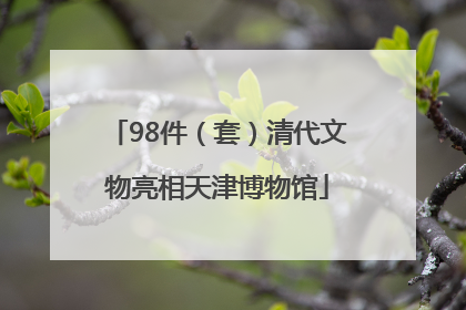 98件（套）清代文物亮相天津博物馆