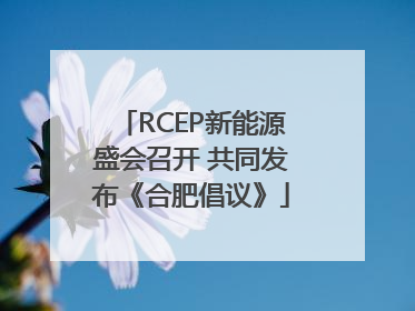 RCEP新能源盛会召开 共同发布《合肥倡议》
